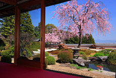 正法寺