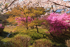 修学院
