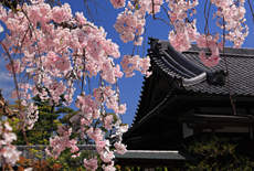 法住寺