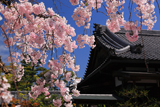 法住寺