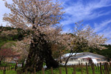 かすみ温泉旅館