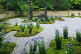 御所・寺町・河原院