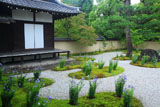 廬山寺 源氏庭の桔梗と御黒戸