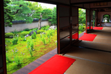 天得院 方丈と南庭の桔梗