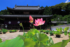 萬福寺