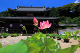 萬福寺