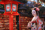 安井金比羅宮