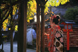 安井金比羅宮