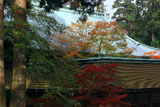 比叡山延暦寺 紅葉の根本中堂