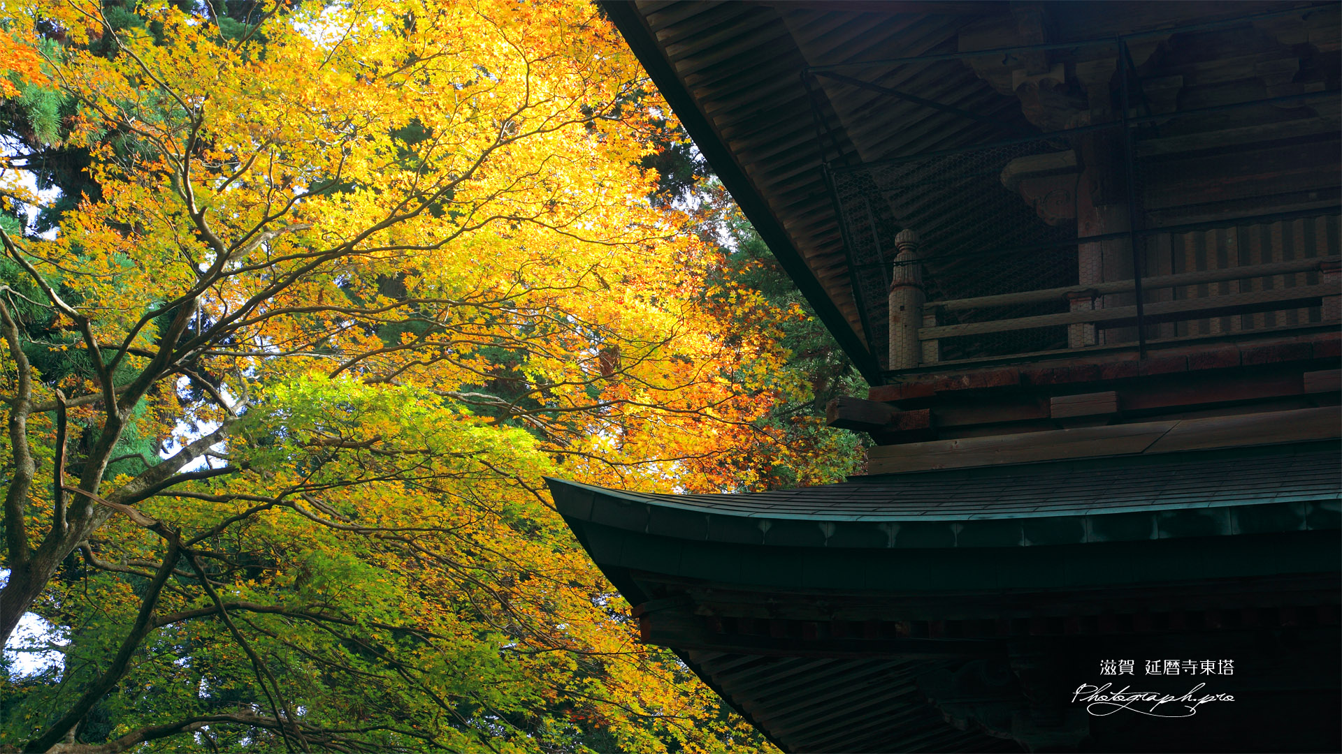 比叡山延暦寺 文殊楼と紅葉