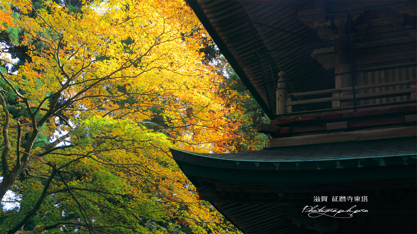 比叡山延暦寺 文殊楼と紅葉 壁紙