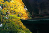 比叡山延暦寺 文殊楼と紅葉