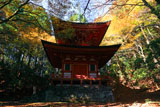 延暦寺横川 紅葉の根本如法塔