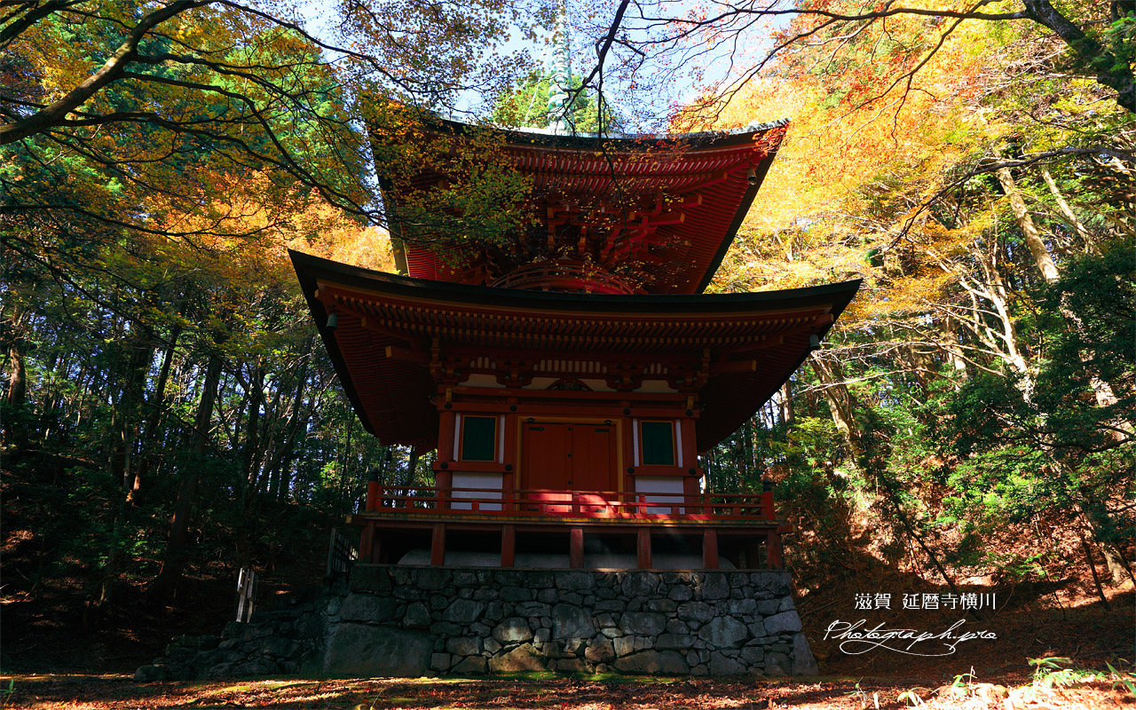 延暦寺横川 紅葉の根本如法塔 壁紙