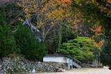京都水尾 桜紅葉の円覚寺