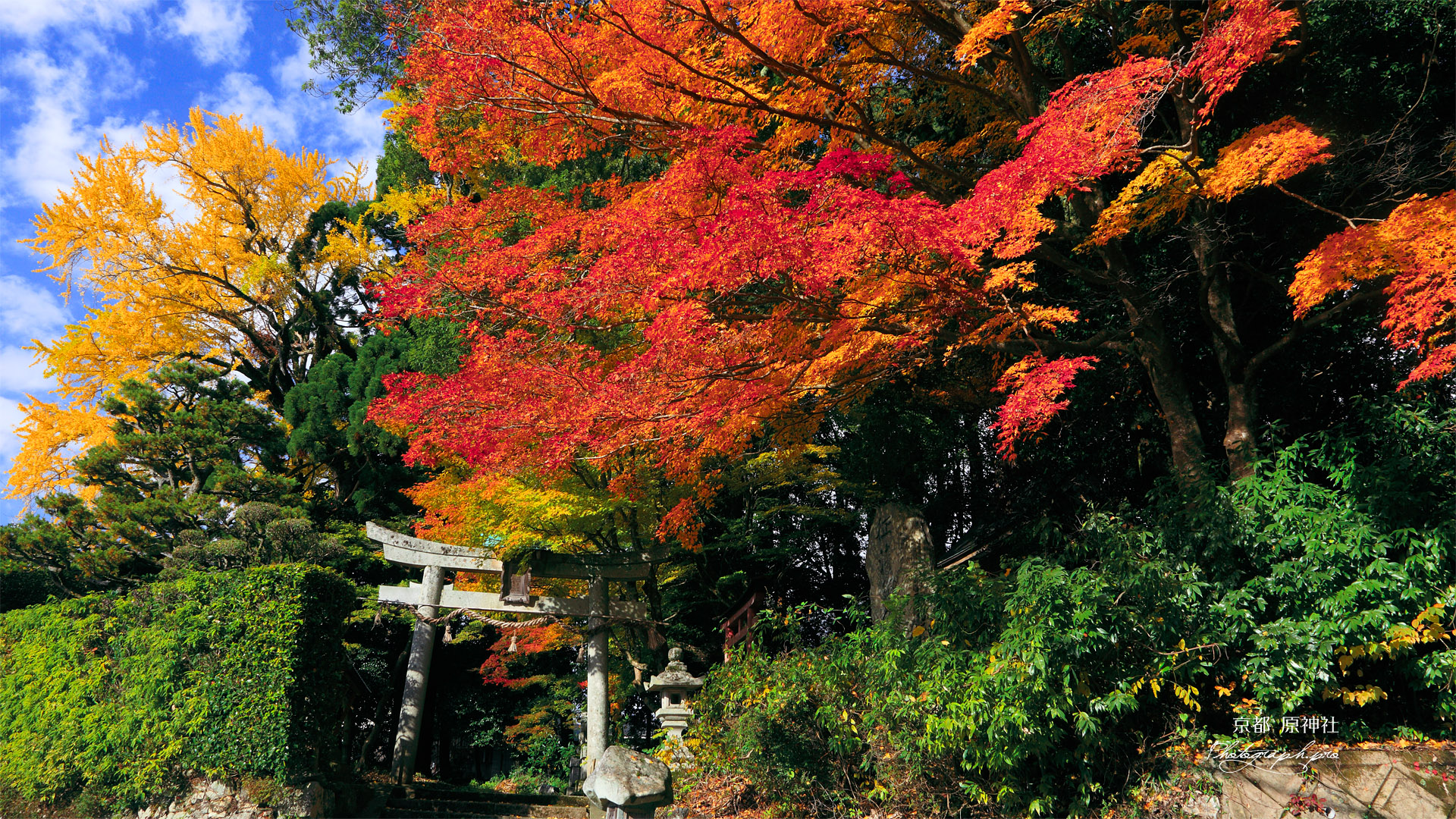 京都樒原 原神社の紅葉