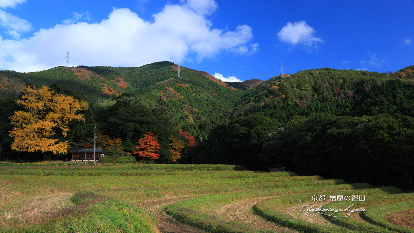 京都宕陰 樒原の鎧田と地蔵山 壁紙