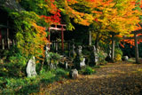 京都樒原 四所神社の紅葉