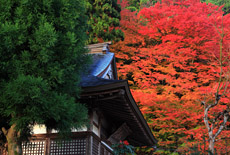 慈眼寺