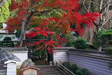三寶寺