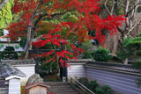 三寶寺
