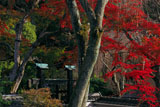 京都三寶寺 紅葉と冠木門