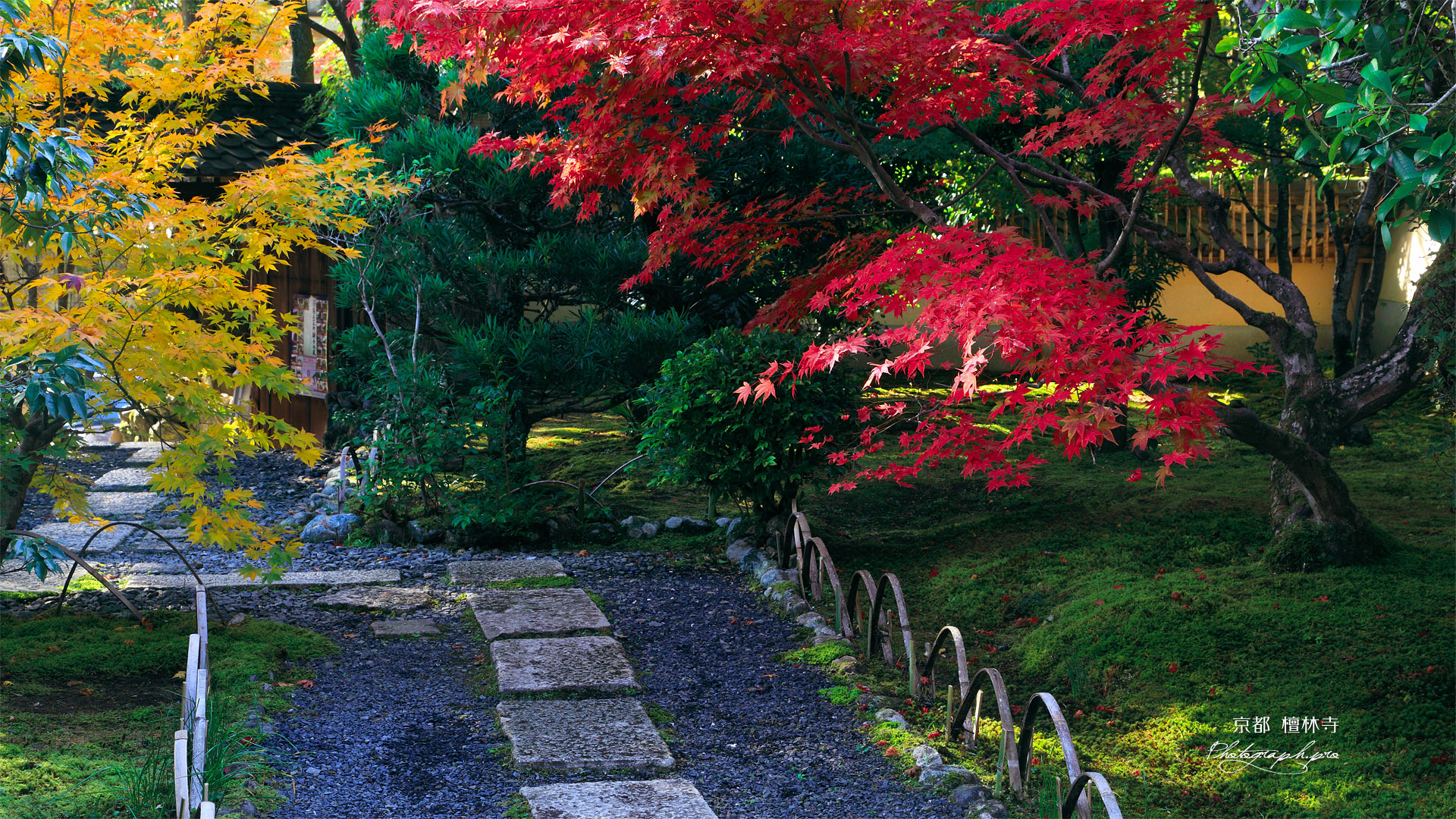 檀林寺 紅葉