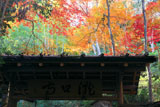 滝口寺 山門と紅葉