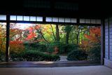 滝口寺 本堂からの紅葉