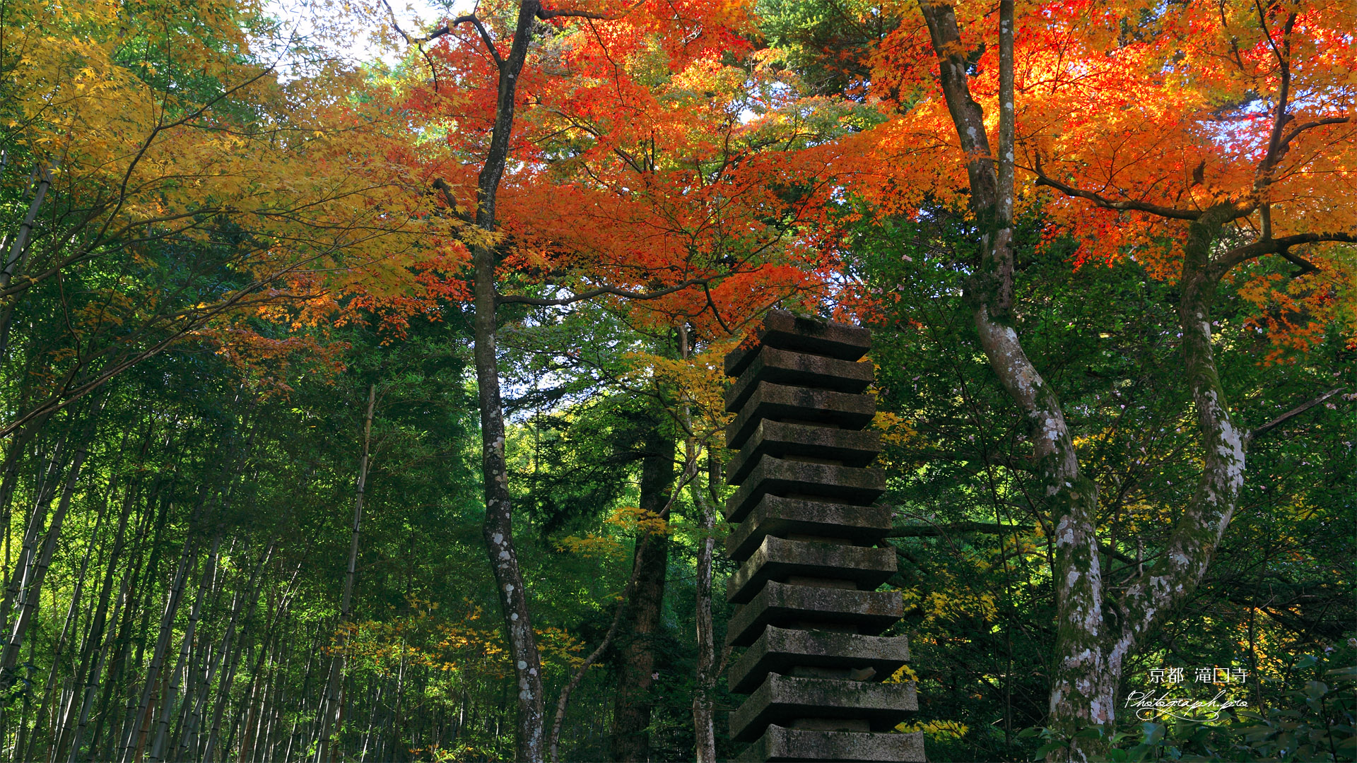 滝口寺 十三重塔と紅葉