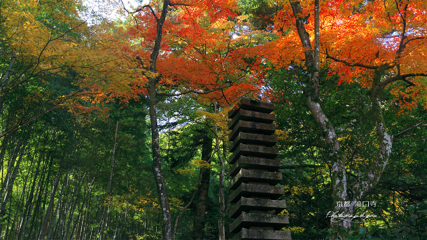 滝口寺 十三重塔と紅葉 壁紙