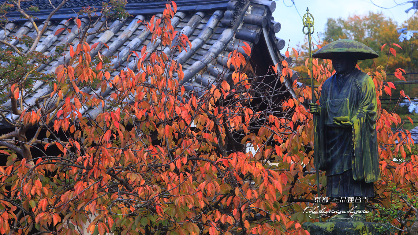 上品蓮台寺 弘法大師像と桜紅葉 壁紙