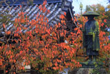 上品蓮台寺 弘法大師像と桜紅葉