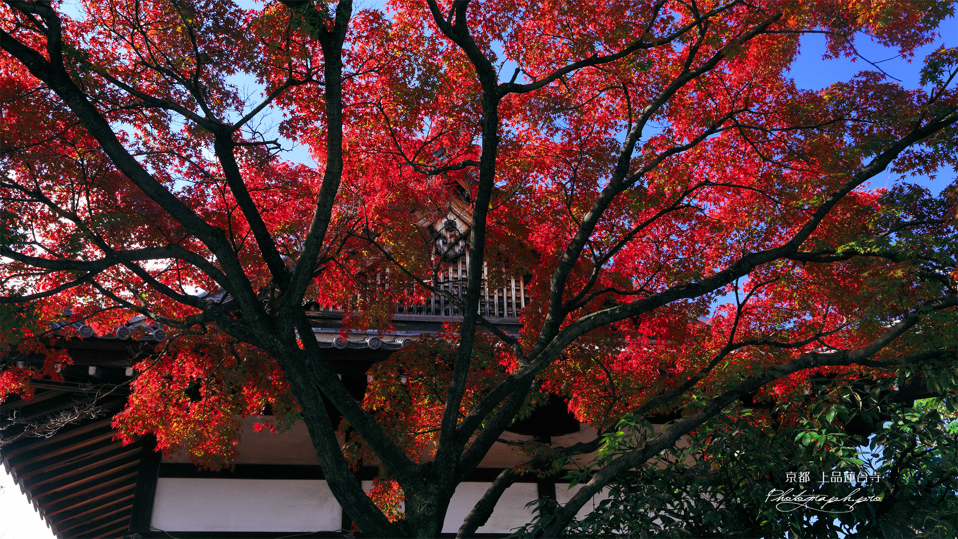 上品蓮台寺 紅葉と大師堂