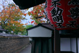 雨宝院 築地塀と桜紅葉