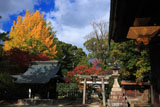 北野天満宮 東門と紅葉