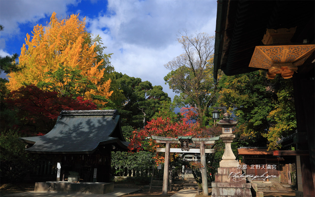 北野天満宮 東門と紅葉 壁紙