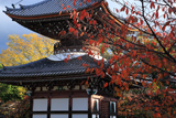 本法寺 桜紅葉と多宝塔