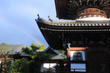 本法寺 多宝塔と虹空