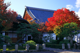 妙覚寺 紅葉と本堂