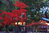 今宮神社 紅葉越しの拝殿