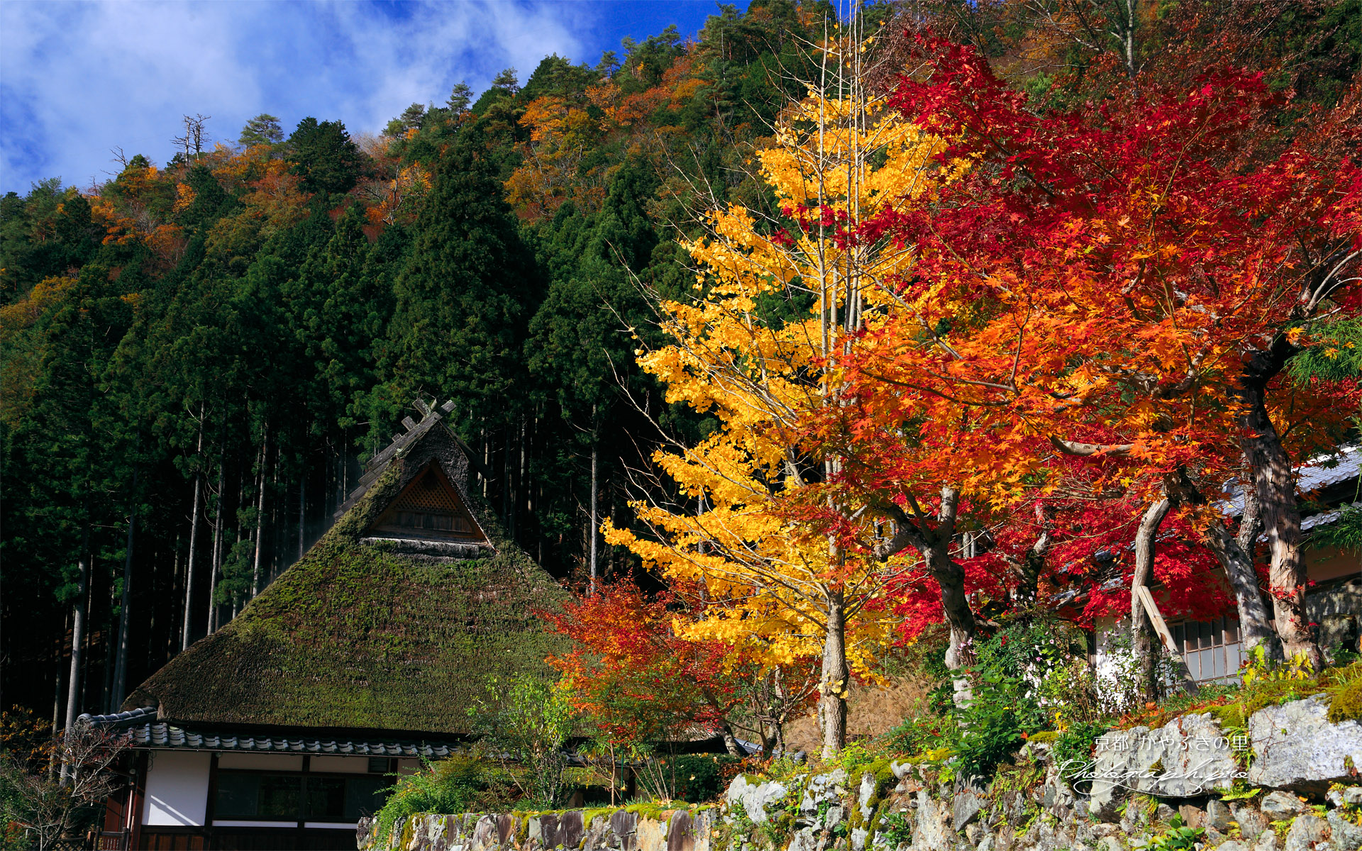 美山かやぶきの里 普明寺の紅葉