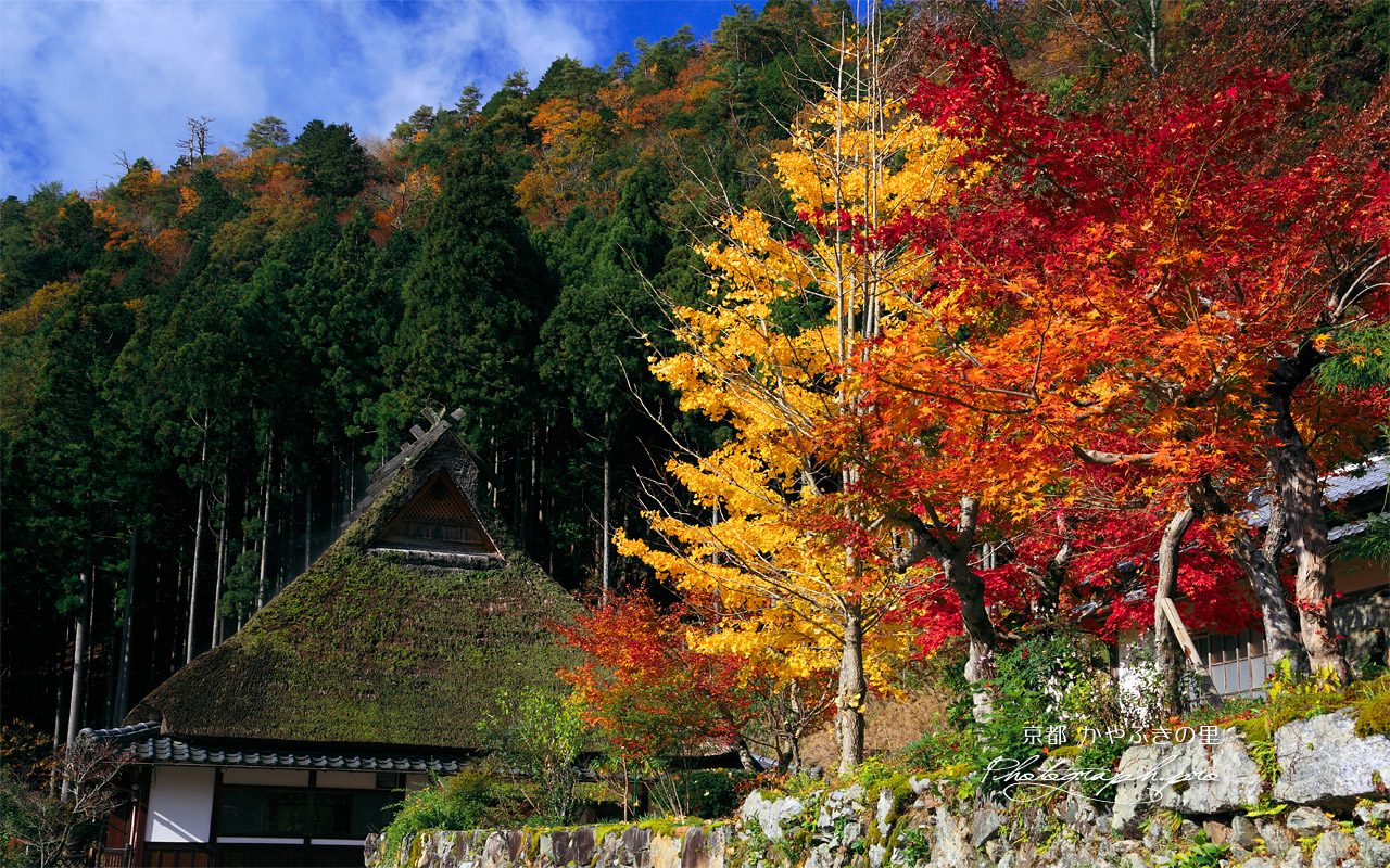 美山かやぶきの里 普明寺の紅葉 壁紙