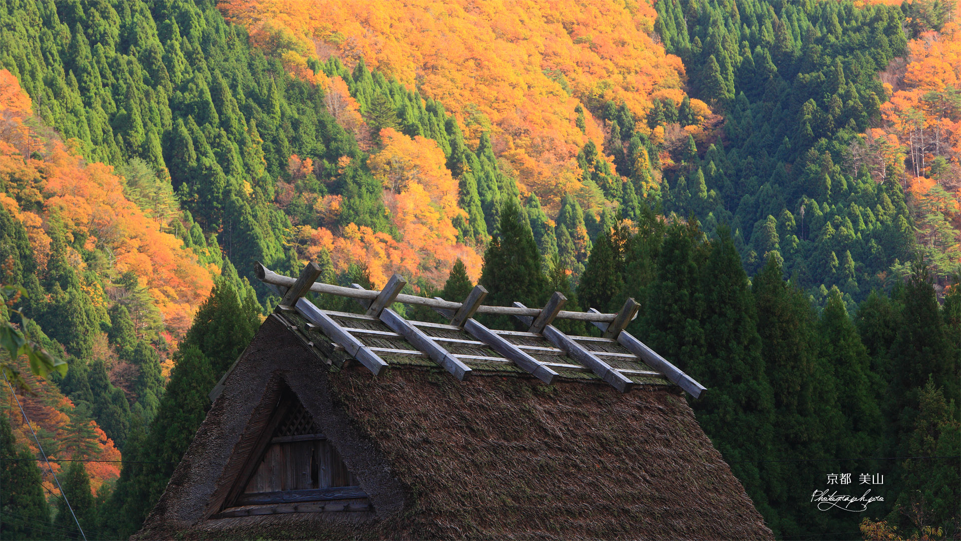 美山 錦秋の田歌