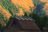 美山 錦秋の田歌