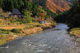 美山 錦秋の白石