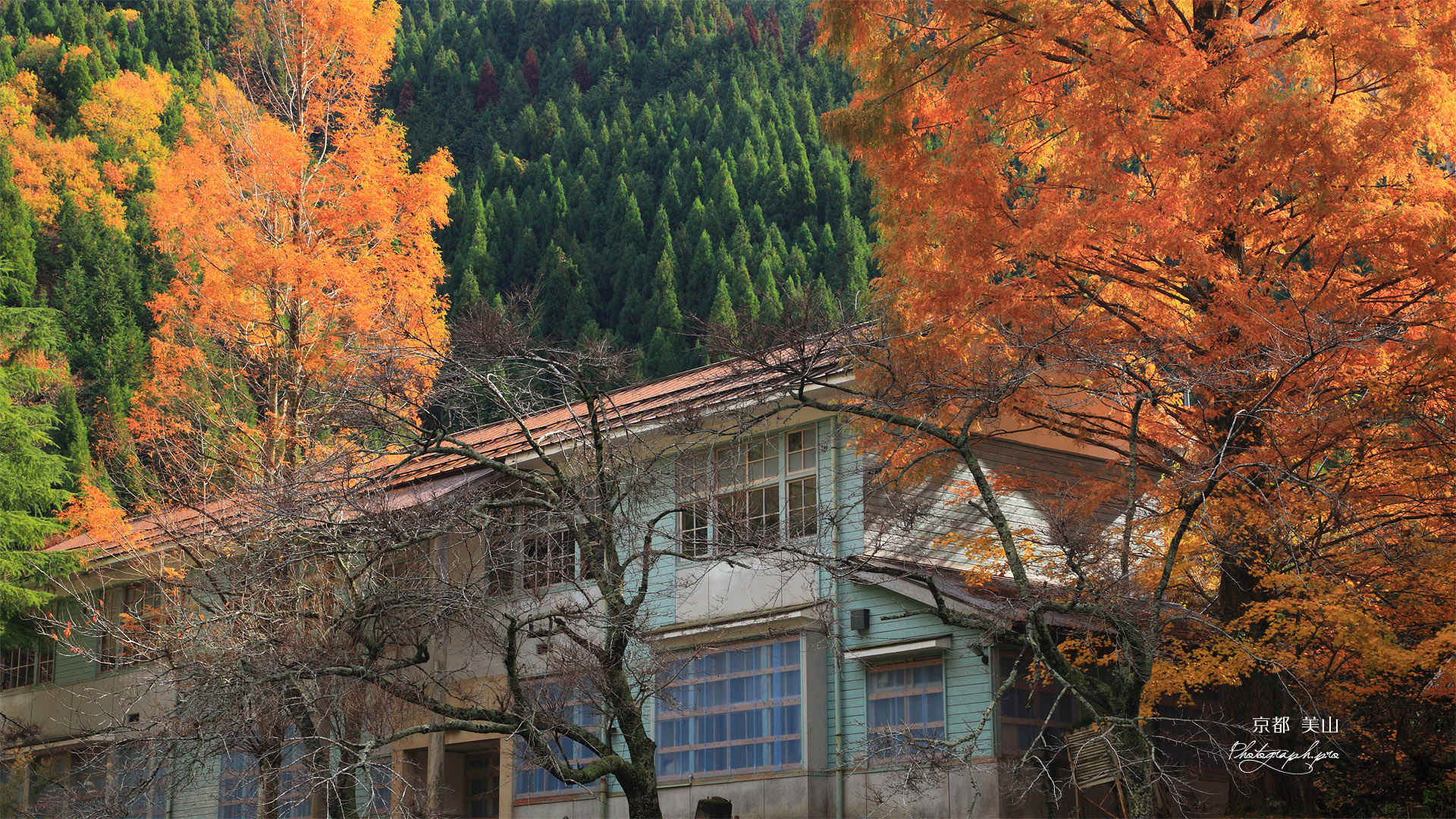 美山 紅葉の美山高校