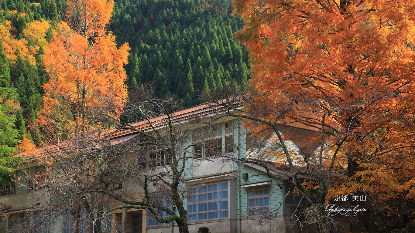 美山 紅葉の美山高校 壁紙