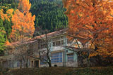美山 紅葉の美山高校