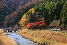 美山